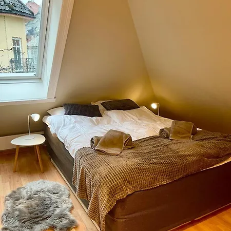 Charming House With Roof Terrace And Sea View Apartment Bergen